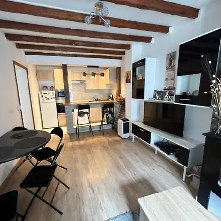 Parisien Apartment